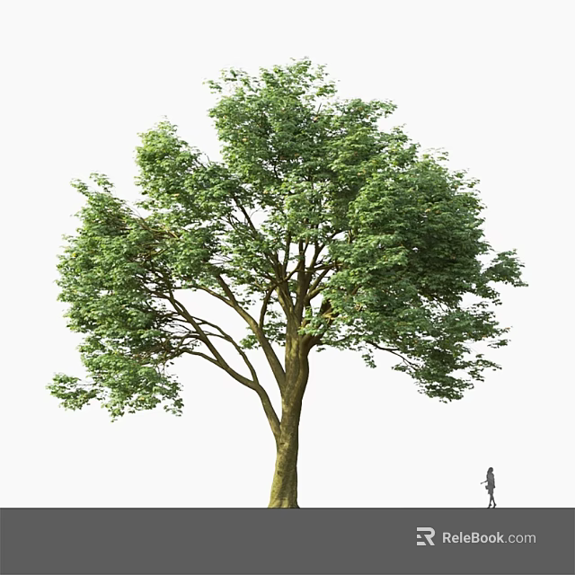 Tall Arbor With Lush Green Foliage And Small Figure For Scale 3d model 