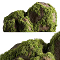 Natural Stone And Wood Decor Elements With Lush Green Moss Cover