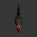 Woodpecker With Red Crest Long Beak White Facial Stripes And Dark Body On Gray Background