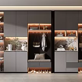 Modern Elegant Shoe Cabinet With Hanging Area Mirror Storage Compartments And Lighting Design