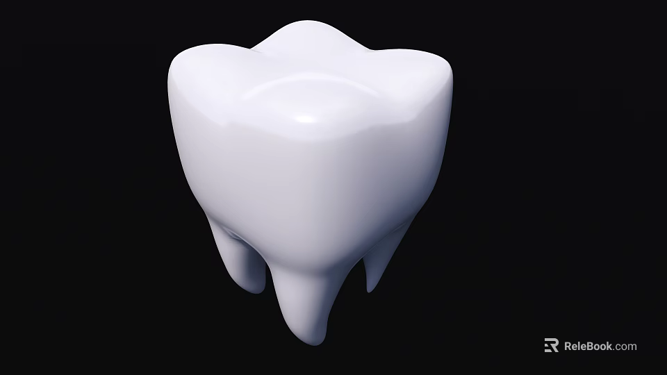 Human Tooth 3D Rendered White Structure with Natural Shape and Root Details 3d model 