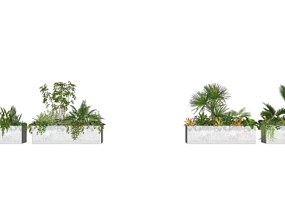 Bonsai Potted Plants In Modern Rectangular Planters With Palm Fern And Green Foliage For Decor 3d model