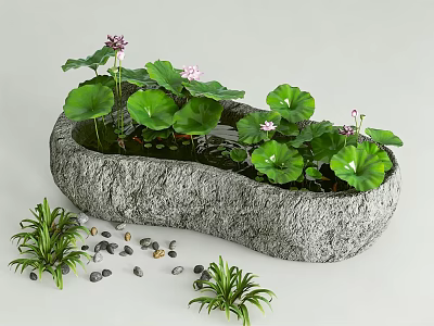 Natural Stone Fish Tank with Aquatic Lotus Leaves Flowers Small Plants and Pebbles 3d model