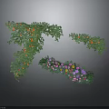 Lush Green Vine And Bush Plants With Orange Fruits And Purple Pink Yellow Flowers