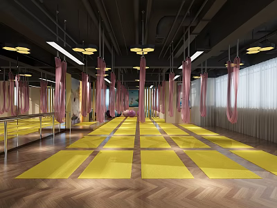 Industrial LOFT Yoga Room Yoga Mat Yoga Hammock Special-shaped Light Railing 3d model