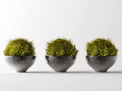 Three Green Spherical Bonsai Potted Plants in Black Bowl Shaped Pots with White Background 3d model