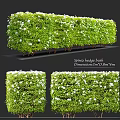 Spirea Hedge Bush Decorative Ornament Set With 2m×0.8m×1.4m Dimensions For Garden