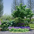 Beautiful Garden Landscape With Colorful Flowers Various Plants Trees Shrubs And Green Lawn
