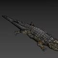 Detailed Realistic Crocodile 3D Model With Open Mouth And Textured Skin