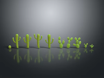 Green Cactus Plants with Various Sizes and Different Shapes on Gray Background with Reflections 3d model