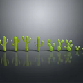 Green Cactus Plants with Various Sizes and Different Shapes on Gray Background with Reflections