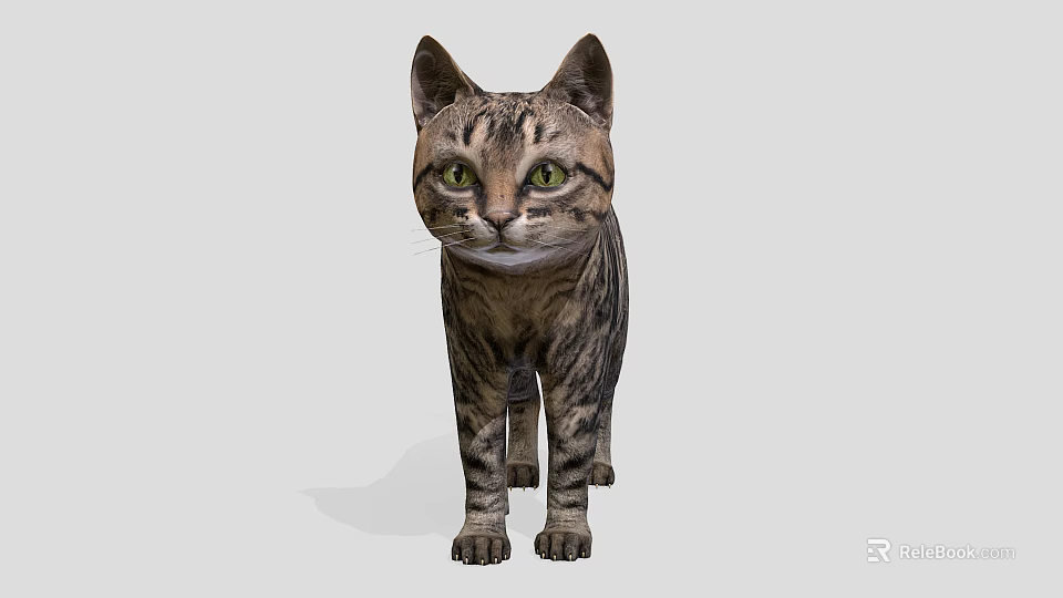 Tabby Cat with Green Eyes Standing in Front View Against Gray Background 3d model 