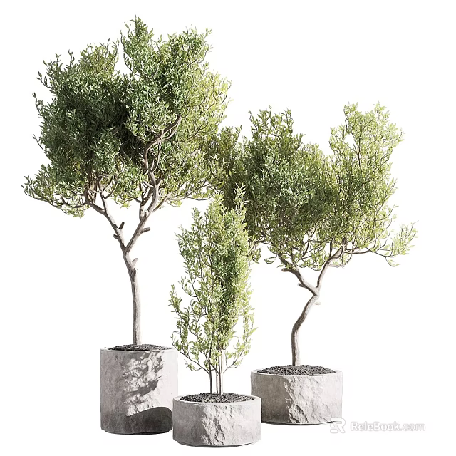 Unique Bonsai Potted Plants With Stone Pots And Natural Tree Shapes For Indoor Decoration 3d model 