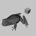 Green Frog Next to Colorful Rubik's Cube on Gray Background