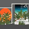 Vibrant Window Display Featuring Green Plants White Frames Orange Circle And Sunny Summit Letters 3d model