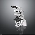 Microscopic Study Of Organ And Hair Samples Using Professional Microscope
