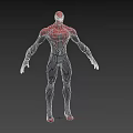 Spider Man Superhero In Red And Black Suit With Spider Web Pattern And Arm Details