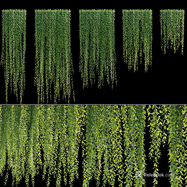 Lush Green Hanging Vines As Decoration Elements 3d model 