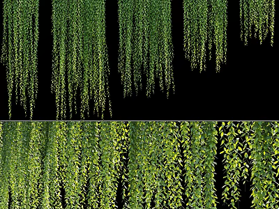 Lush Green Hanging Vines As Decoration Elements 3d model