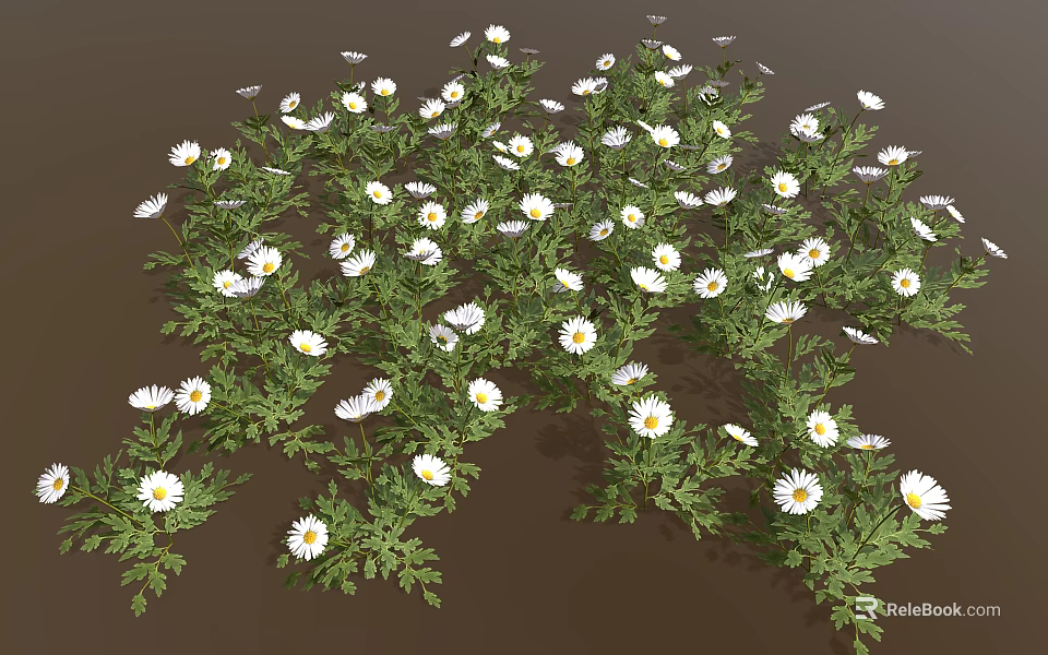 Lush Green Leaf Plant Blooming With White Flowers In Dense Cluster 3d model 