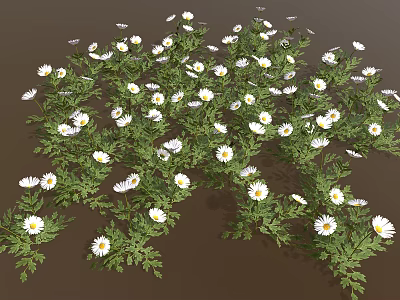 Lush Green Leaf Plant Blooming With White Flowers In Dense Cluster 3d model Lush Green Leaf Plant Blooming With White Flowers In Dense Cluster 3d model