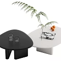 Black and White Coffee Tables With Glass Cups Magazine Oranges And Green Plant