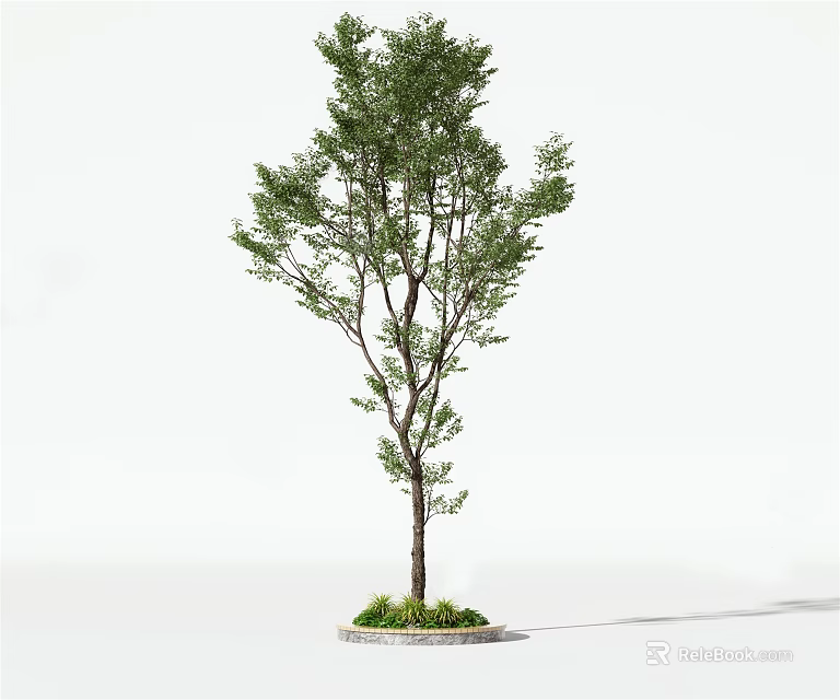 Tall Arbor With Lush Green Leaves And Brown Trunk On Circular Base With Fresh Grass 3d model 