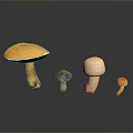 Vibrant Mushroom Collection with Diverse Shapes and Colorful Caps on Dark Background