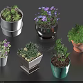 Various Bonsai Potted Plants with Colorful Ceramic Clay Pots and Flowering Green Foliage