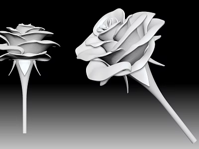 Modern Roses 3d model