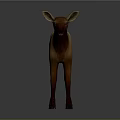 Brown and Light Brown Fawn Standing on Gray Background 3D Rendering Model
