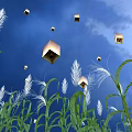 Golden Cubes Floating in Blue Sky with Green Reeds and Plants