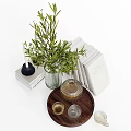 Elegant Decorative Ornament Set With Green Plants Stacked Books Glass Vases Candles And Wooden Tray
