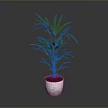 Green Plant with Slender Leaves in White Textured Pot and Red Soil Against Gray Background