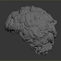 Realistic Human Brain 3D Model With Wavy Hair Like Textured Surface 3d model
