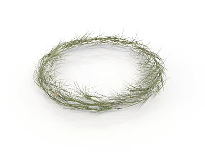 Natural Green Grass Wreath Handmade Round Shape With Fresh Plant Materials 3d model