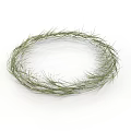 Natural Green Grass Wreath Handmade Round Shape With Fresh Plant Materials