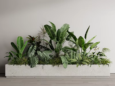 Various Green Potted Plants In Long Concrete Planter With Large Leaves And Small Foliage 3d model