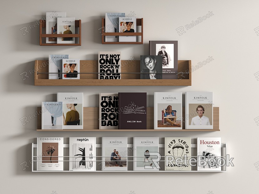 Modern Book Magazine Bookshelf model