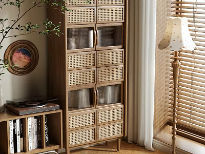 Wooden Bookcase With Rattan Design And Green Plant Vinyl Record Floor Lamp Venetian Blinds 3d model