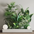 Green Plants With White Spherical Decorations On White Rectangular Base Against Light Wall Wooden Floor