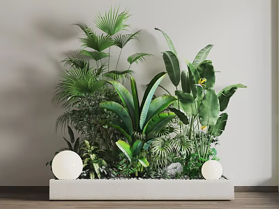 Green Plants With White Spherical Decorations On White Rectangular Base Against Light Wall Wooden Floor 3d model