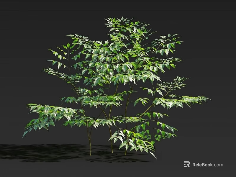 Vibrant Arbor In Natural Setting With Lush Green Leaves Multiple Branches And Healthy Growth 3d model 
