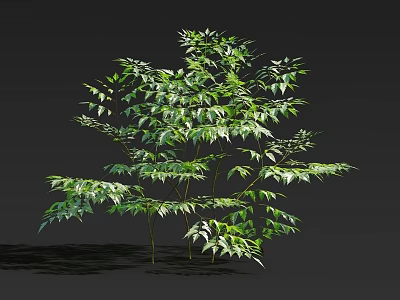 Vibrant Arbor In Natural Setting With Lush Green Leaves Multiple Branches And Healthy Growth 3d model