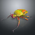 Vibrant Green Orange Beetle With Metallic Sheen Body Long Antennae And Legs