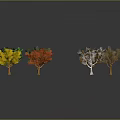 Colorful Trees Displaying Green Yellow Red and Bare Branches on Gray Background