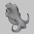 Prehistoric Animal Fossil Skull With Curved Horns And Detailed Bone Structure
