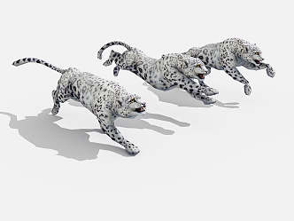 Modern leopard 3d model