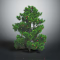 Festive Decorated Pine Tree With Green Branches And Colorful Decorative Balls