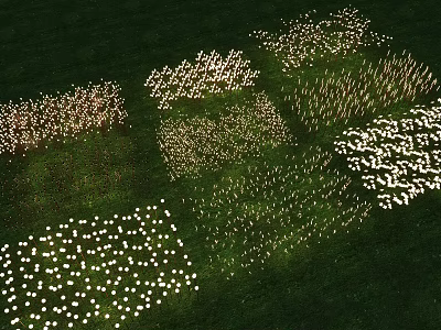 Outdoor Decorative Lights Glowing On Night Grass Landscape With Various Patterns 3d model